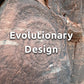 ∾ Evolutionary Design ∾